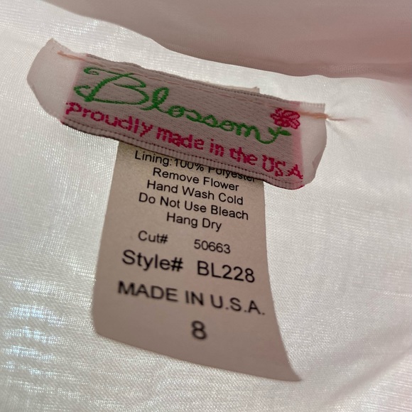 Pink Princess NWT- Blossom Poly Silk Bodice, Tulle Dress w/ Flower & Sash - Picture 8 of 9